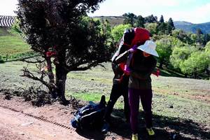 云南格拉丹徒步