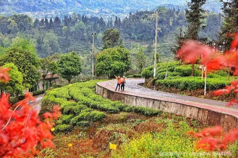 QQ图片20230410103745