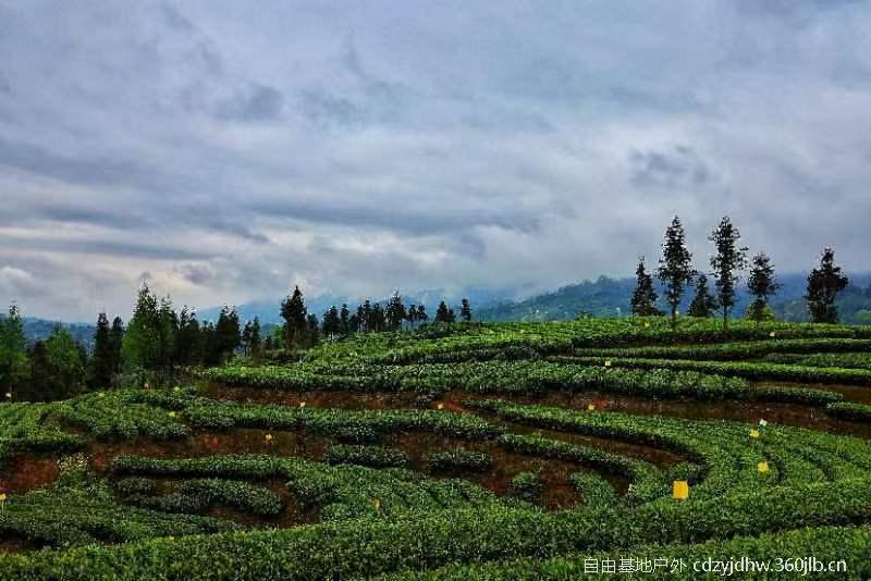 QQ图片20230410103755