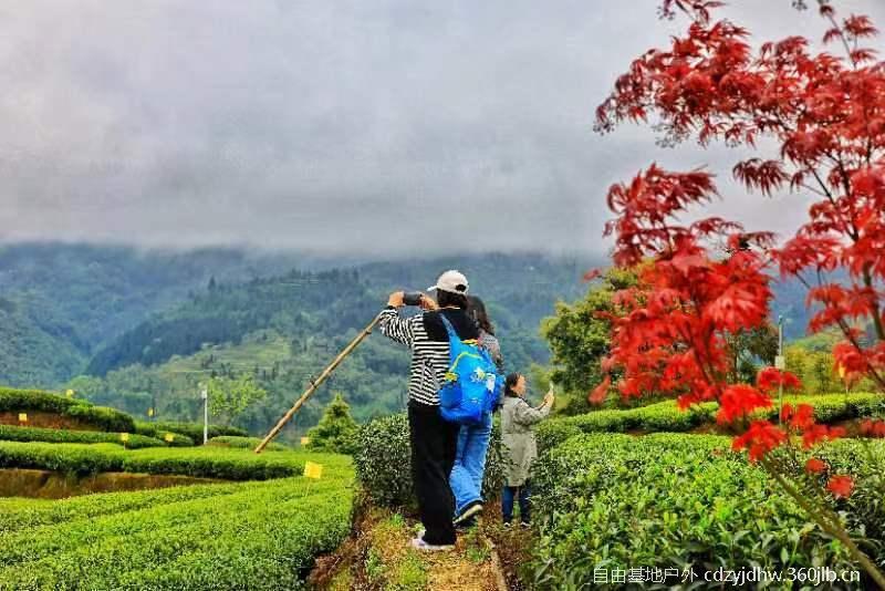 QQ图片20230410103759