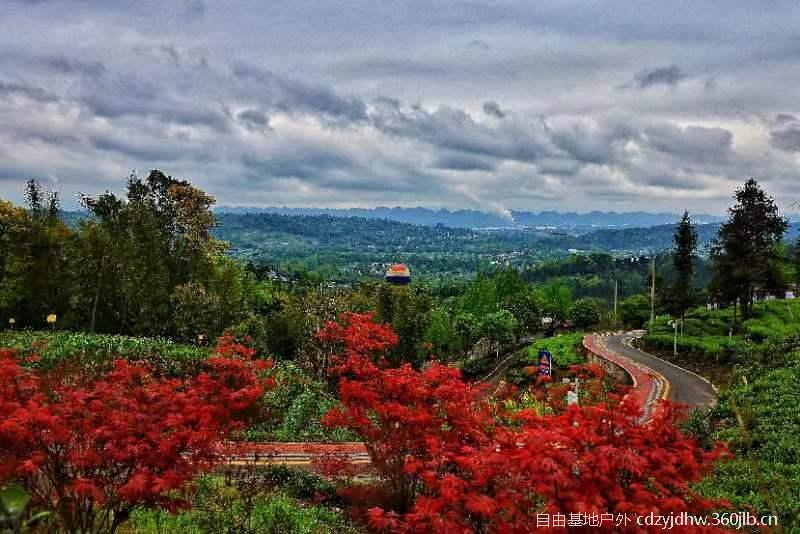 QQ图片20230410103803