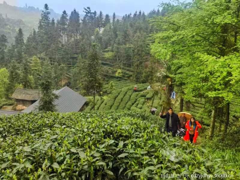 QQ图片20230410103820