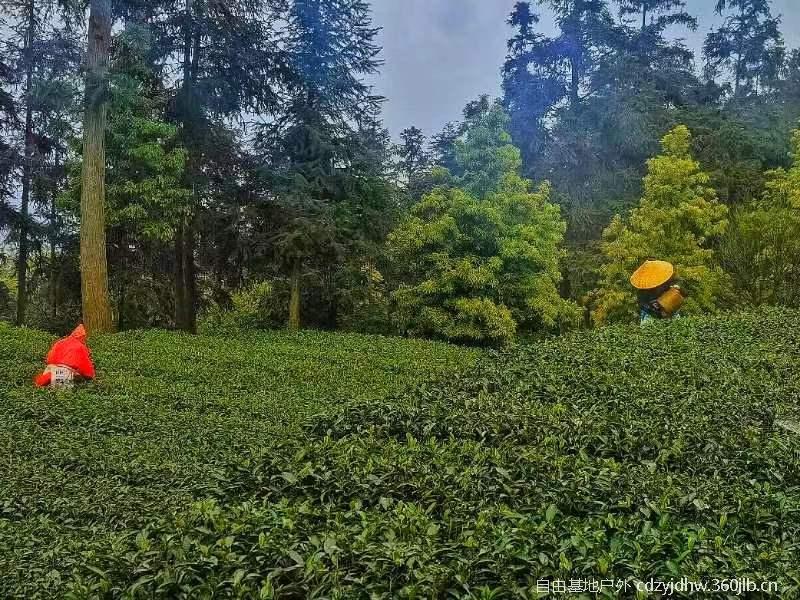 QQ图片20230410103824