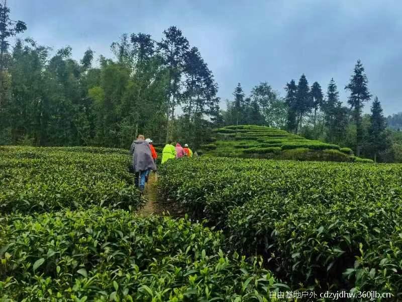 QQ图片20230410103829