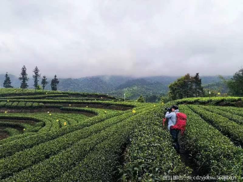 QQ图片20230410103833