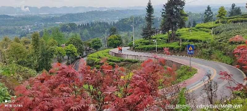 QQ图片20230410103837