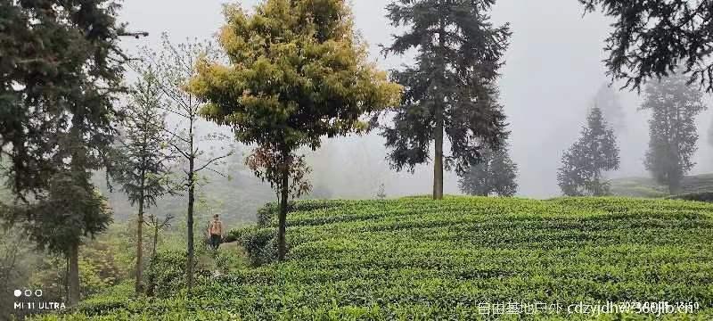 QQ图片20230410103851