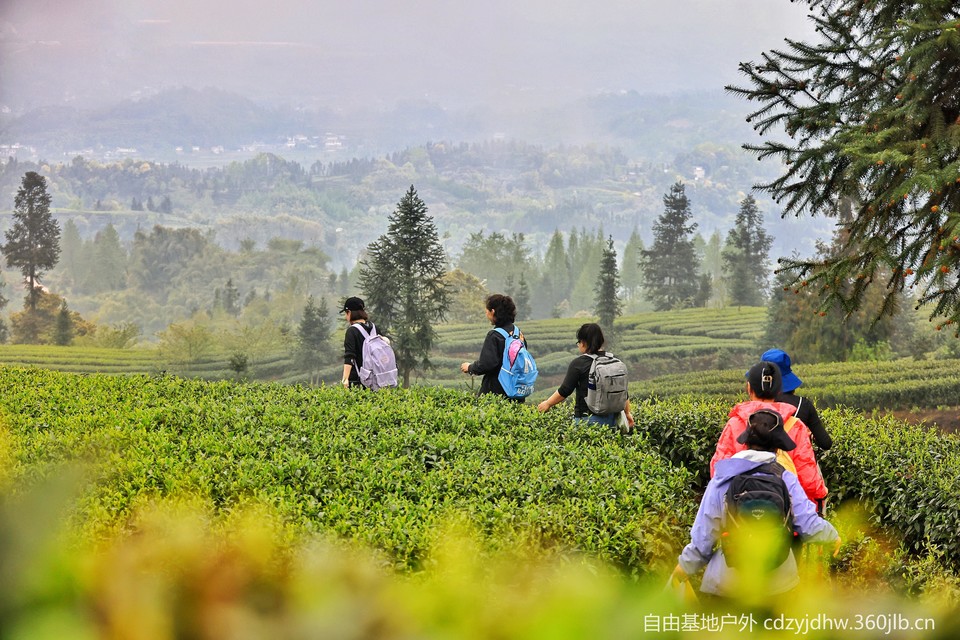 QQ图片20230410103816