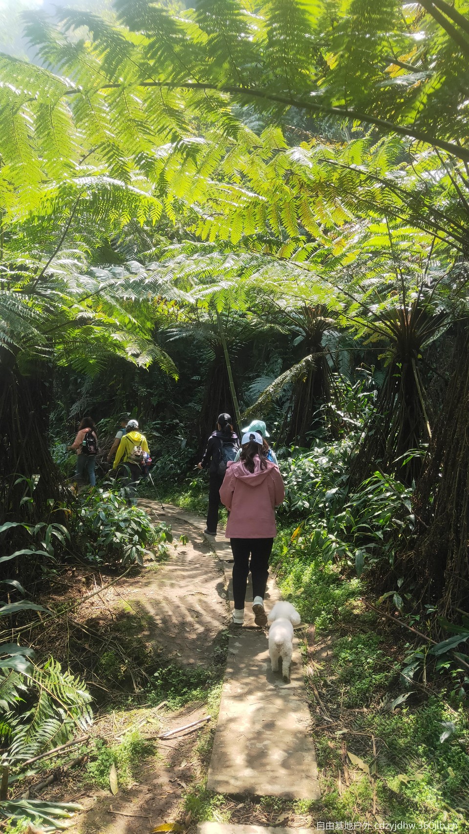 QQ图片20230410111845