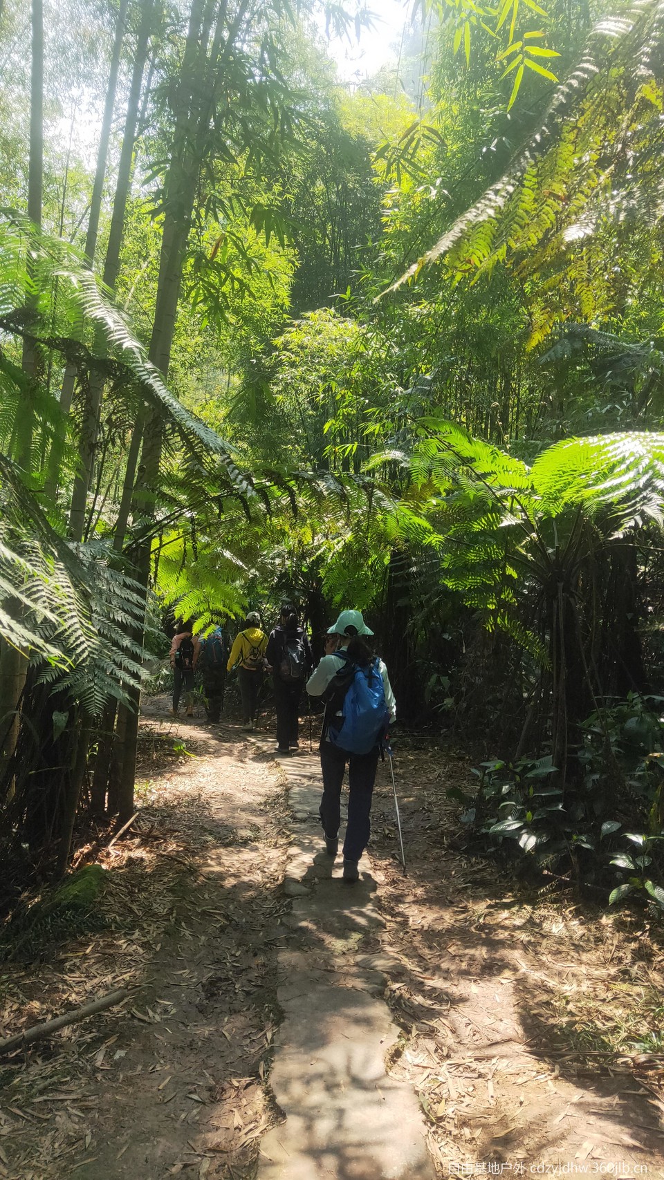 QQ图片20230410111911