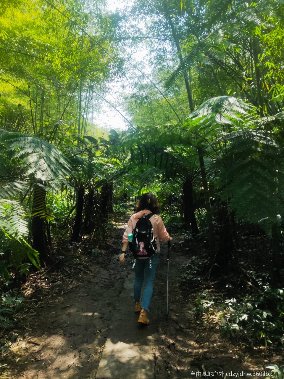 QQ图片20230410111917