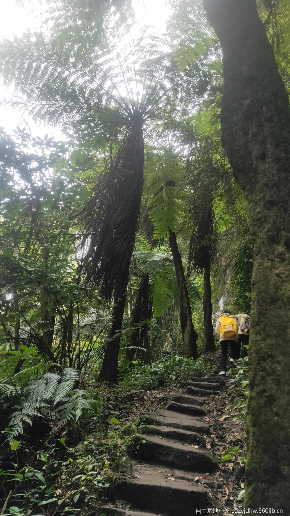 QQ图片20230410111956