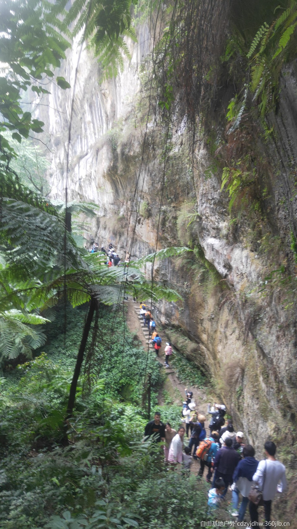 QQ图片20230410111950