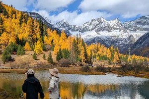 【川西深秋秘境环线4日】雪山云海+玛嘉彩林+昌列禅境，承包川西最浓秋意