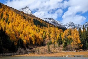 【川西深秋秘境环线4日】雪山云海+玛嘉彩林+昌列禅境，承包川西最浓秋意