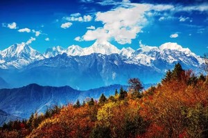【金秋|王岗坪】无高反赏秋星空轻奢露营，C位视角直面贡嘎，后劲真的太大了