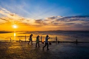 【秋假|浪漫三娘湾|粉色海豚5日】人少又浪漫！从喀斯特山水到小众海湾，一场跨越山海的旅行