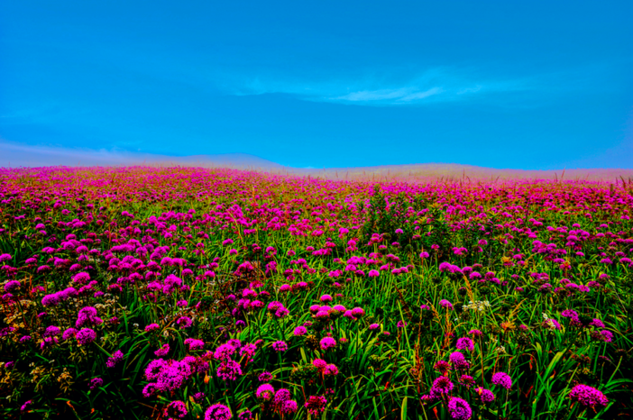 1627367551619170.png 微信图片_20210727143223.png