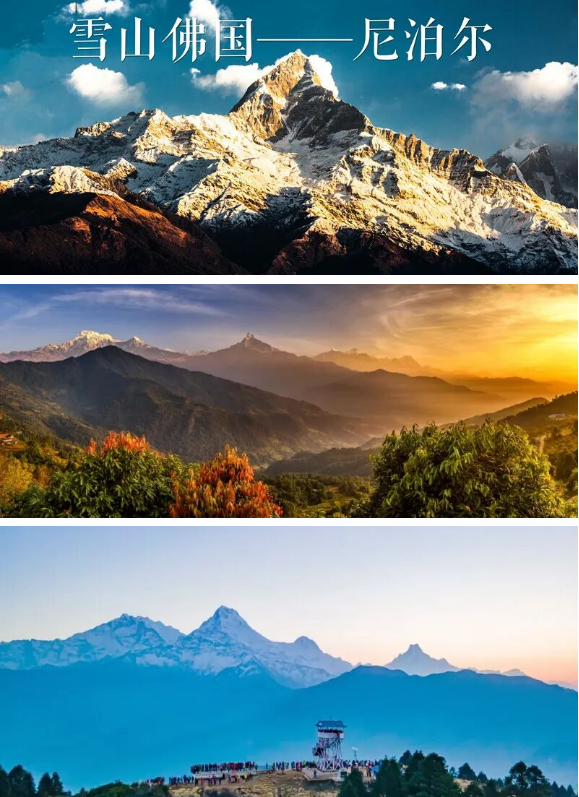 1763358721283518.png 1b19e2e7ad301cc98c9d4c81845fb91.png