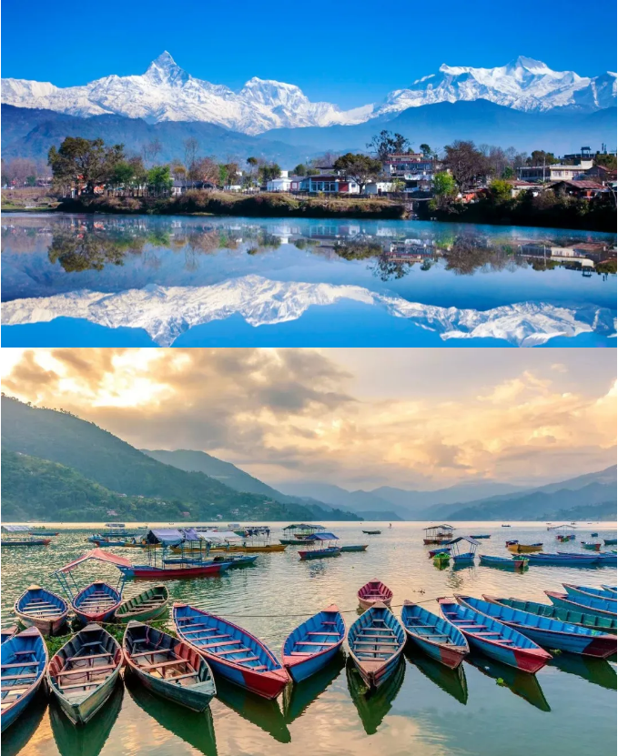 1762842948601446.png d37bd941966c6aca6ef679eba3f08c8.png