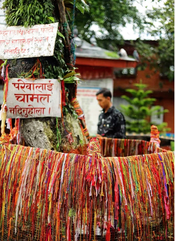 1763358794293237.png 72baf8db236430fe7300bd3b8959ce6.png