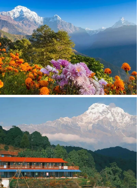 1763358835801101.png f471fe1ce4fd08ea7b1640d4d35455b.png