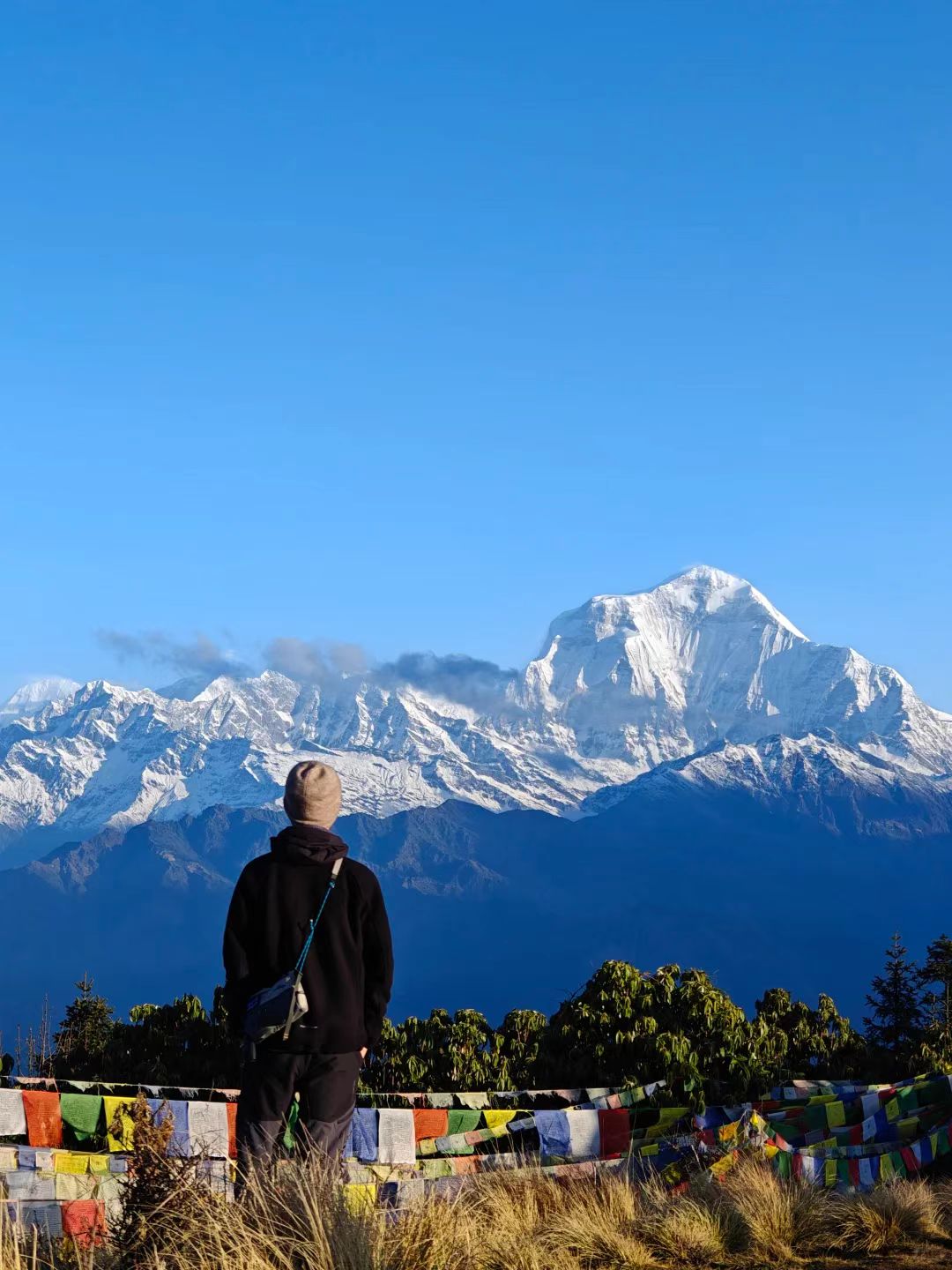 1762850720882949.jpg b2a8a623a0cece93c301cfd8cd5cfcb.jpg