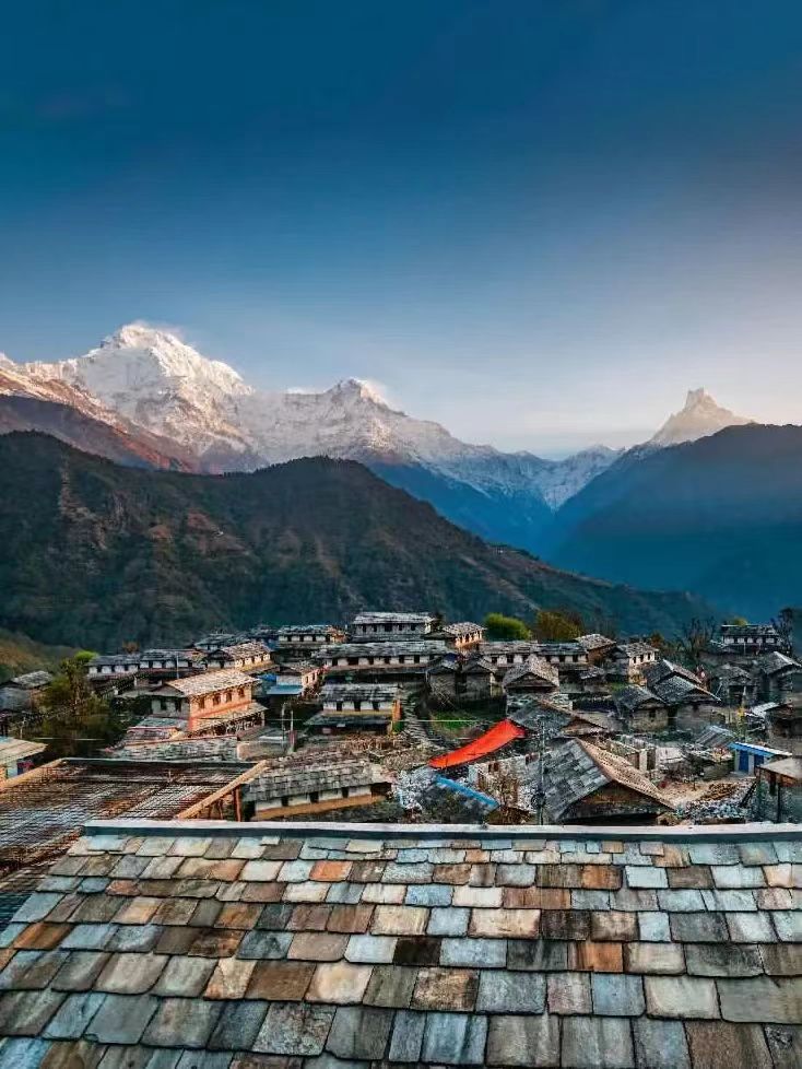 1762851575332965.jpg badd5deb16d18aaa469982d12e99a68.jpg