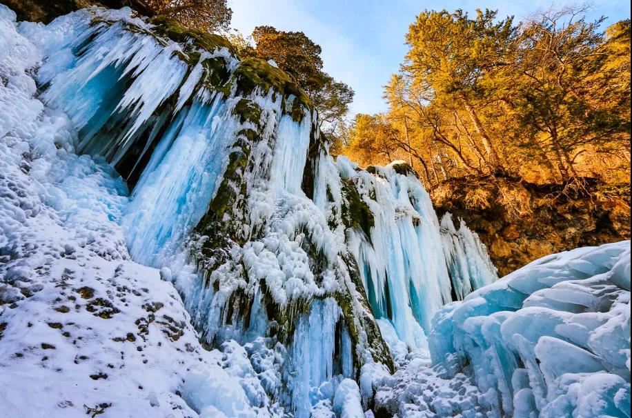 1641535721821740.jpg 微信图片_20220107135958.jpg