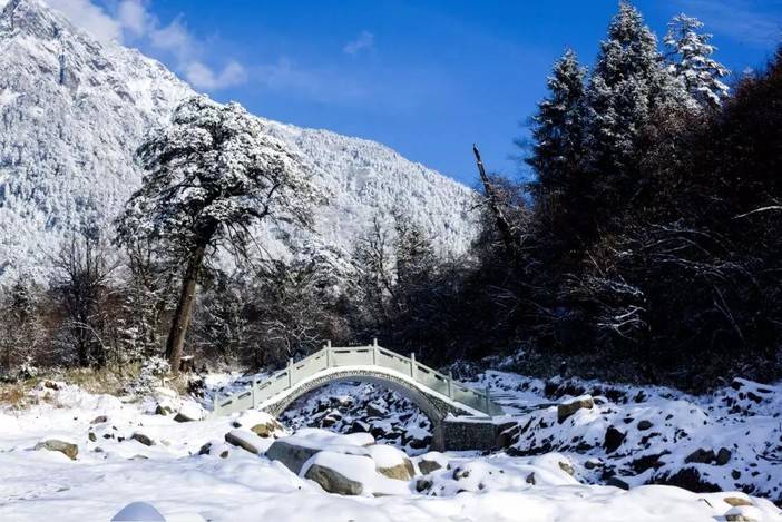 1576636336174823.jpg 微信图片_20191218092240.jpg