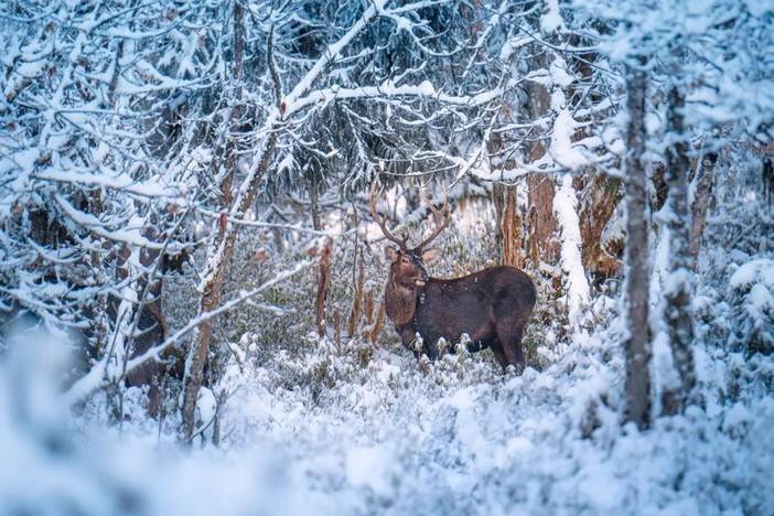 1576636309956730.jpg 微信图片_20191218092254.jpg