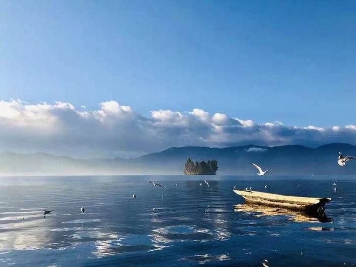 1552369540628643.jpg 10.jpg