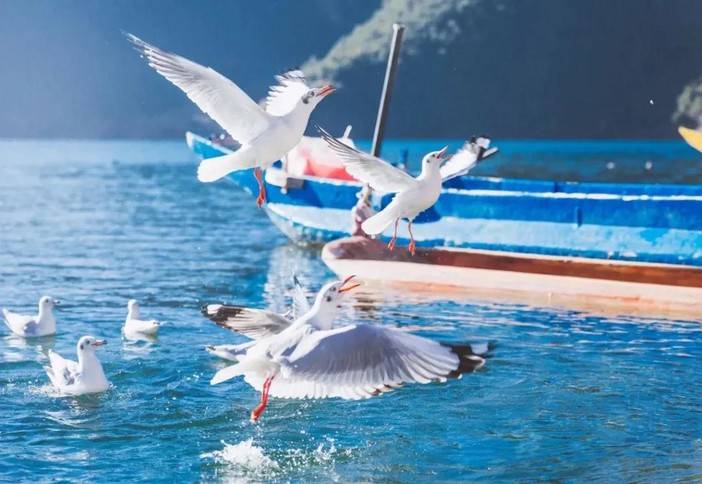 1610353999630570.jpg 微信图片_20210111163137.jpg