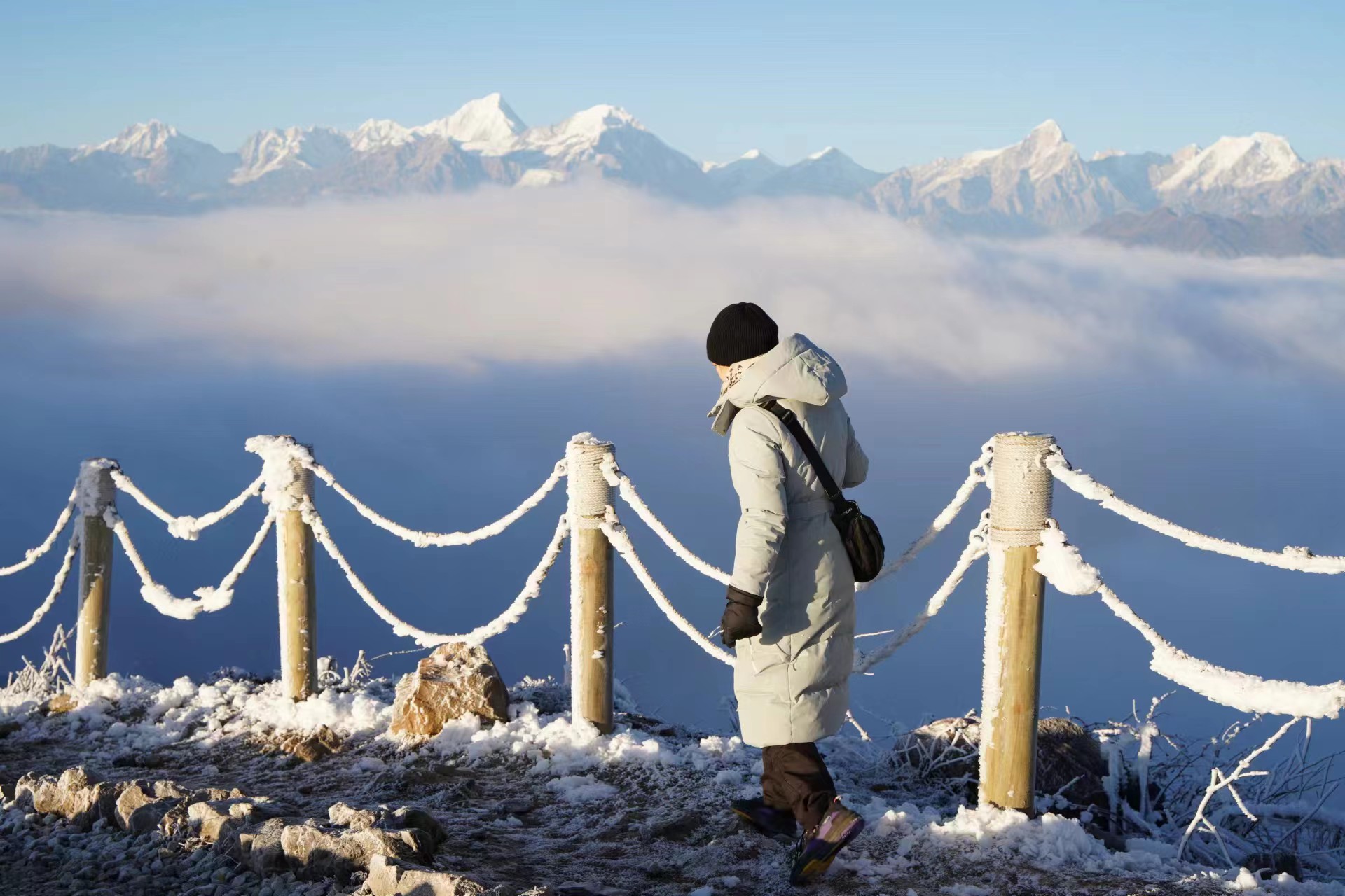 1671160680542236.jpg a310ad9112b8369738ab79a08585c11.jpg