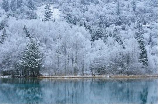 1641535715519378.jpg 微信图片_20220107135956.jpg