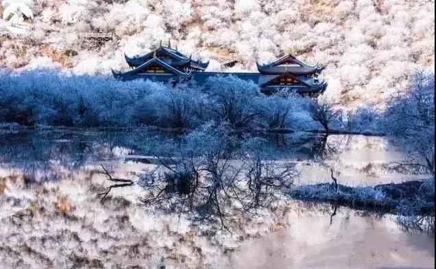 1641535779205653.jpg 微信图片_20220107140016.jpg