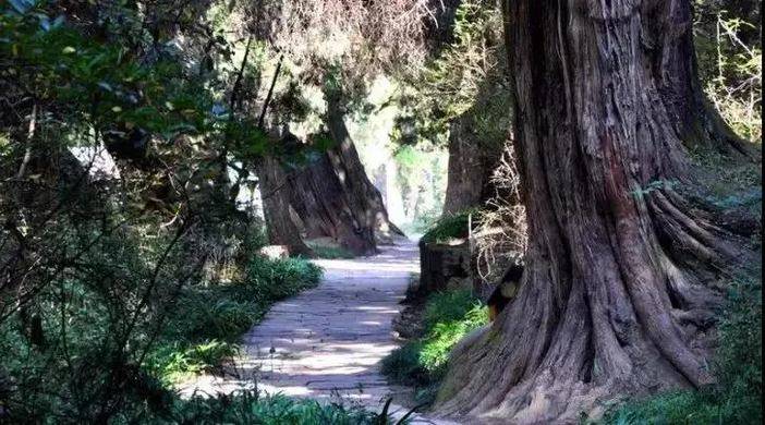 1622444802951717.jpg 微信图片_20210531143737.jpg