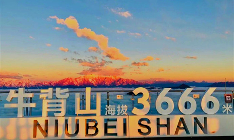 1639117615121706.jpg 2_副本.jpg