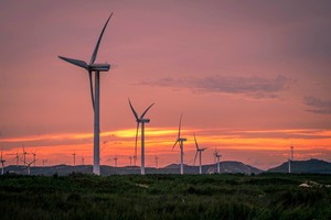 【深度海岸线|平潭大练岛6日】打卡小香港麦理浩径，休闲海岛游+最美海岸线，隐秘的海岛