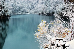 【冰雪|松坪沟】川西被低估的绝美仙境，人超少，步步为景