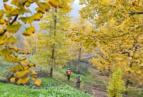 周三【秋徒大邑】12月17日  四基坪穿越花溪谷