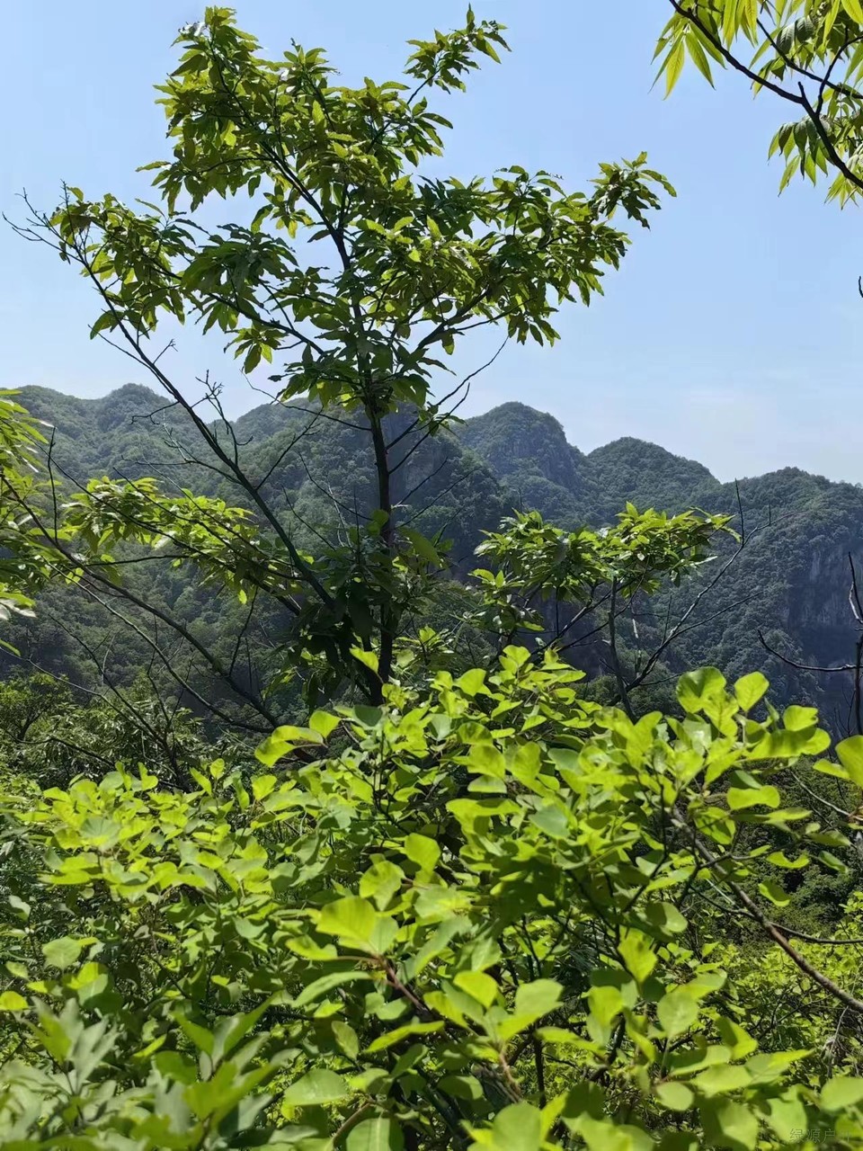 微信图片_20230515103833