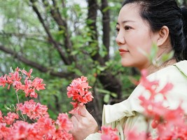 【绿源户外亲子线】4月19日（周日）一年一度赏映山红之野线穿越杜鹃岭-西泰山景区