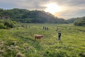 【绿源户外端午节亲子两日游】6月8日-9日“洛阳版阿勒泰”嵩县车村后湖草原徒步穿越