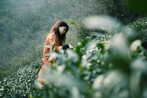 清明小长假亲子活动~4月4日-6日走进信阳，吃信阳菜、采茶、观赏制茶工艺、了解信阳毛尖文化、反穿鸡公山徒步活动