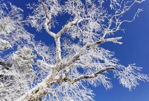 【绿源户外徒步线】12月14日（周日）不是大兴安岭去不起，而是洛宁全宝山更有性价比