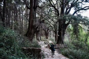 【绿源户外端午小长假】5月31日-6月2日广元古蜀道轻装徒步“千年文化朝圣之路”