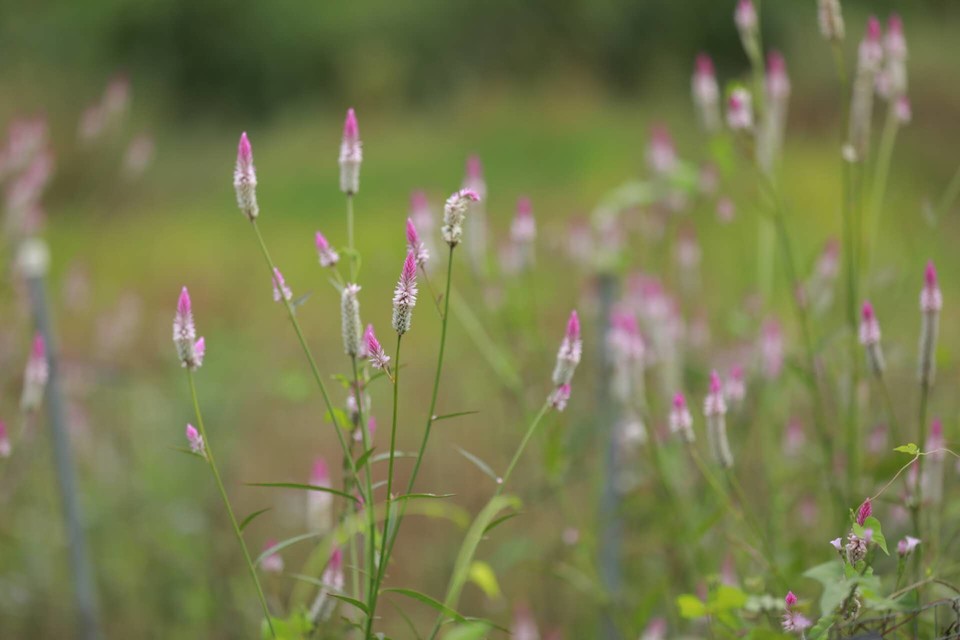 Tscnlh1AD5LY4v86DF-T5x6BQLdEZWosNqqkMhY76eecBNr5Xe1wXaipHXLipqtT