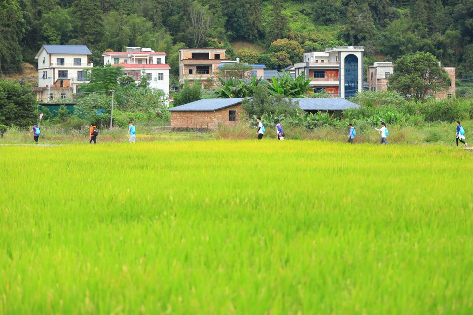 Tscnlh1AD5LY4v86DF-T5_vqR8_cvz0ihIsftoHCYteRz6wf9svoFdF_317ZTD25