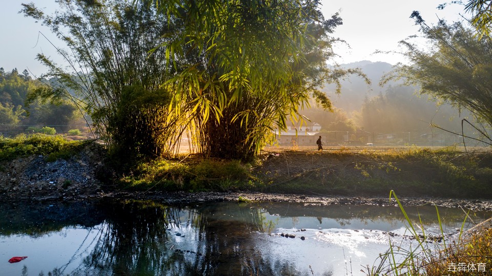 mmexport1677328529878